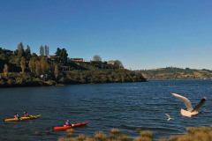 Fiordos-de-Chiloe-1-1